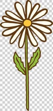 Illustration of White Daisy with Green Stem Illustrazione stock