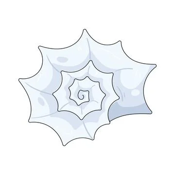 Illustration of white shell Stock Illustration