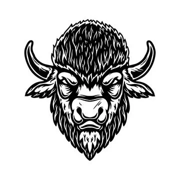 Illustration of wild bison. Design element for logo, label, sign. Vector il.. Stock Illustration