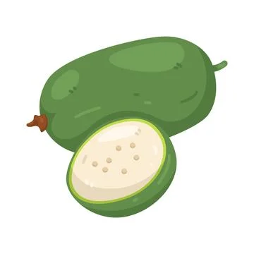 Illustration of Winter Melon Ilustración de archivo