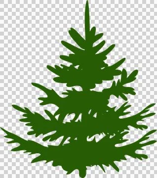 Illustration of Winter Snow Covered Pine Tree on transparent, png. woodland.. Stock Illustration