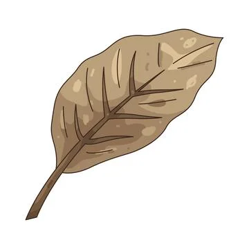 Illustration of Wooden leaf Stock Illustration