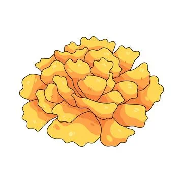 Illustration of yellow chrysanthemum Ilustração Stock