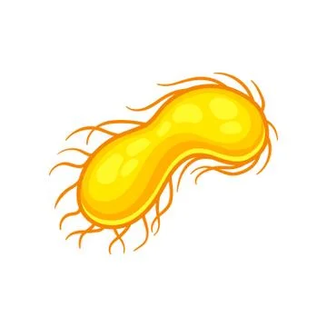 Illustration of yellow E coli virus. Biology microorganism under microscope Stock Illustration