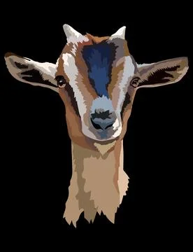 Illustration of young alpine goat head with a horns vector Stock Illustration