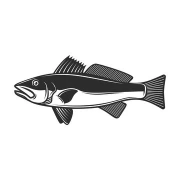 Fish Illustrations ~ Stock Fish Vectors & Clip Art