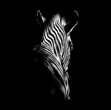Illustration of Zebra with brushes イラスト素材
