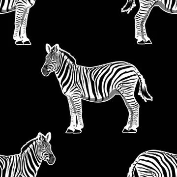 Illustration of zebra graphic repeat pattern print. Seamless animals Stock Illustration