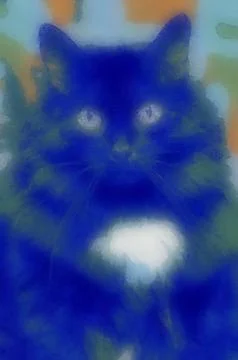 Illustrations animals, cat, mammals, cat images, cat pictures, cat image, 스톡 일러스트