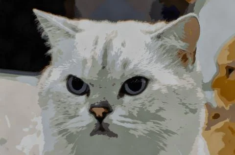 Illustrations animals, cat, mammals, cat images, cat pictures, cat image, 스톡 일러스트
