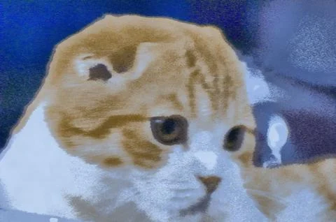Illustrations animals, cat, mammals, cat images, cat pictures, cat image, 스톡 일러스트