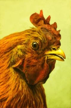 Illustrations, bird, close-up, head, ginger rooster, bright red comb, wattles, Stockillustratie
