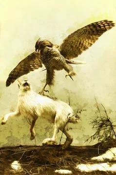 Illustrations, bird of prey, hawk, attacking, white hare, fauna, animals, color, Stock Illustration