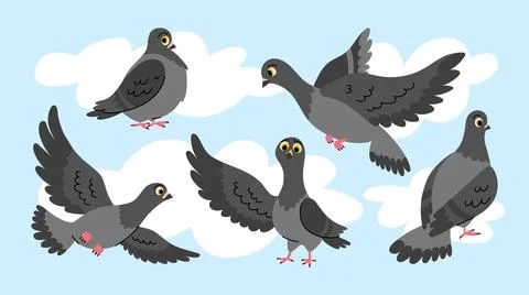 Illustrations of cartoon pigeon characters in different poses and emotions. Stock Illustration