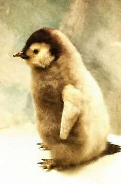 Illustrations, chick of the Emperor Penguin, Aptenodytes forsteri, with fluffy,  Stock Illustration