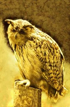 Illustrations of the Eurasian Eagle Owl, Bubo bubo, large bird of prey, ear feat Stock Illustration