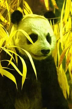 Illustrations, Giant panda, bamboo bear, animals, Ailuropoda melanoleuca, specie Illustrazione stock