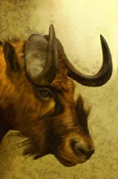 Illustrations, Gnu, wildebeest, Connochaetes, genus, large, ungulates, animals,  Stock Illustration