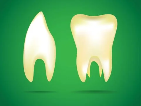 Illustrations of the human teeth Illustrazione stock