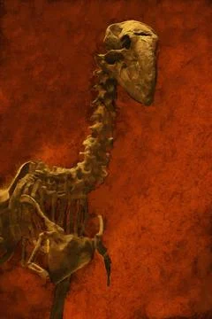 Illustrations, skeleton, giant flightless bird, Gastornis, Diatryma, Stock Photos