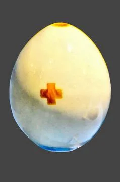 Illustrations, Vintage, Easter, eggs, Porcelain, Hand-painted, art, egg, Easter Stock Illustration