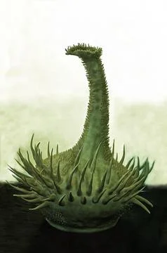 Illustratios Archaeocyatha, ancient cup, class, extinct sponges, animals,  Stock Illustration