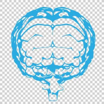 Illustrative image of human brain section Stock Illustration