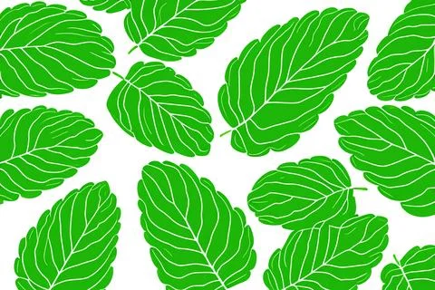 Illustrative image of mint leaf isolated. fresh mint leaves isolated on white Stock Illustration