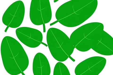 Illustrative image of mint leaf isolated. fresh mint leaves isolated on white Stock Illustration