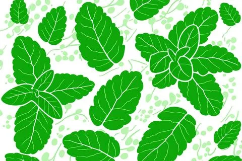 Illustrative image of mint leaf isolated. fresh mint leaves isolated on white Stock Illustration