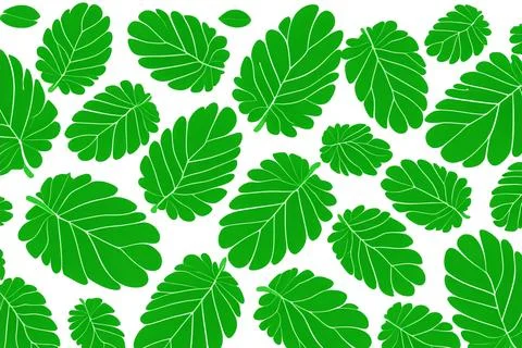 Illustrative image of mint leaf isolated. fresh mint leaves isolated on white Stock Illustration