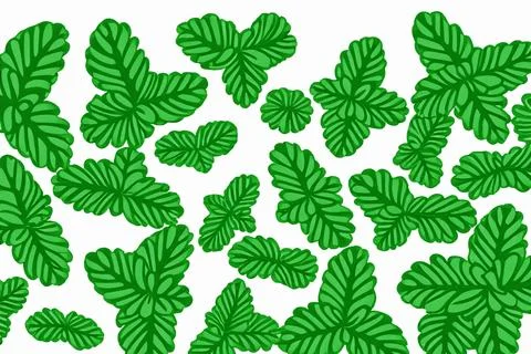 Illustrative image of mint leaf isolated. fresh mint leaves isolated on white Stock Illustration