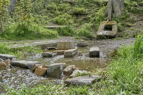 Ilsequelle, the source of river Ilse in the Rothaargebierge Stock Photos