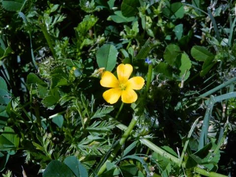 I'm busting thru Stock Photos