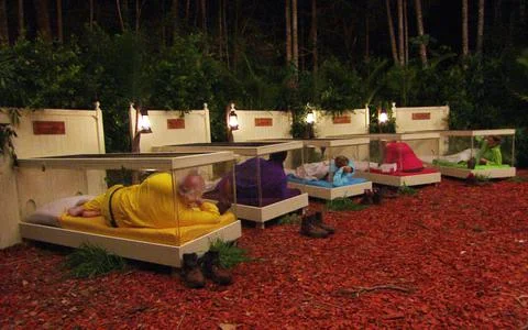 'I'm A Celebrity...Get Me Out Of Here!' TV Programme, Australia - 21 Nov 2012 写真素材
