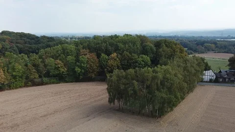 Im Flug über eine Baumgruppe im Herbst Stockbeeldmateriaal 95092664