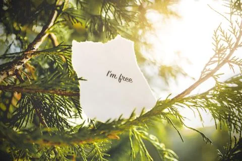 I'm free text Stock Photos