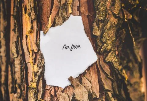 I'm free text Stock Photos