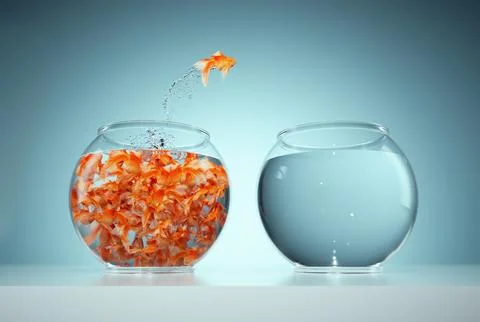 I'm not like others - be different concept - goldfish jumping in a bigger f.. Stock Illustration
