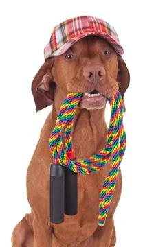 I'm ready for skipping Stock Photos