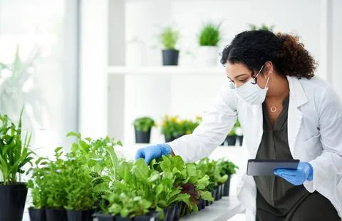 Im searching for less-damaging alternatives to pesticides. a female scientist Stock Photos
