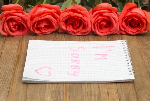I'm sorry concept Foto stock