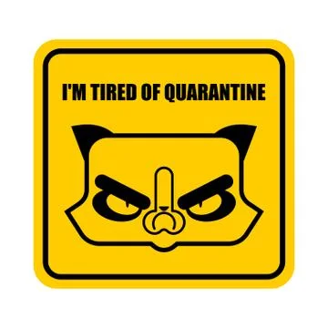 I'm tired of quarantine Grumpy Cat sign. Coronavirus Global epidemic disease  イラスト素材