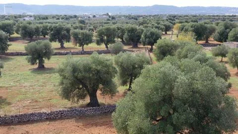 Image 1A 0 Stock Photos