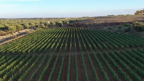 Image 2B 0 Stock Photos