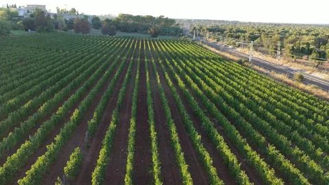 Image 3C 0 Stock Photos