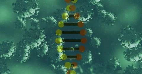Image of 3d dna rotating with virus on digital interface Stock Illustration