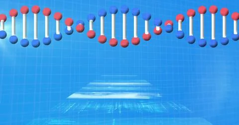 Image of 3d dna, virus with graphs, infographic data processing on digital Stock Illustration