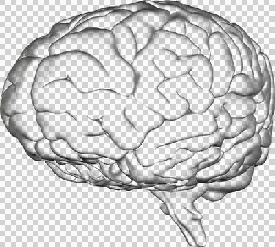 Image of 3d transparent human brain Stock Illustration