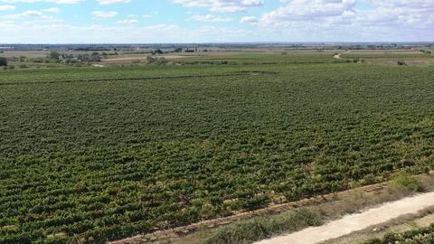 Image 5E 0 Stock Photos